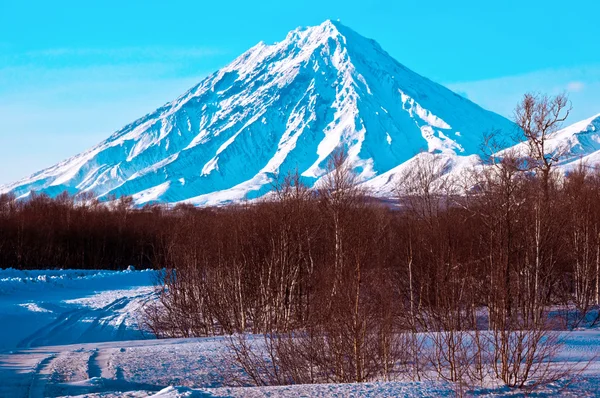 雪で覆われた火山 — ストック写真