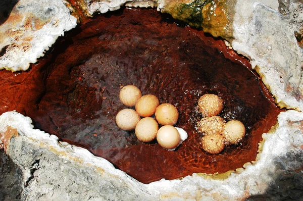 Яйца в горячем источнике — стоковое фото