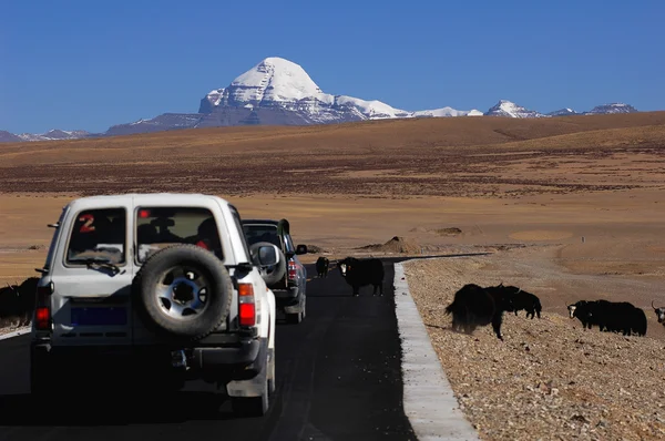 Jeep traveling in Tibet — Stock Photo, Image