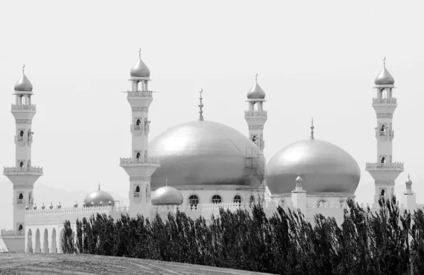 在黑白的清真寺 — 图库照片