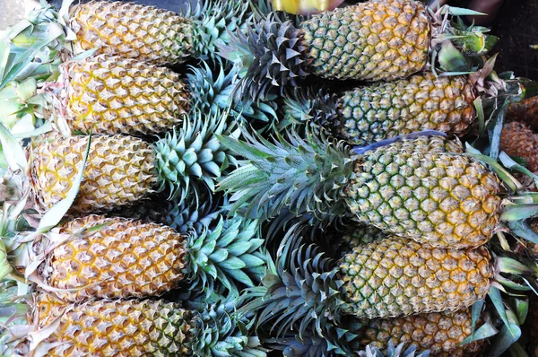 stock image Pineapples