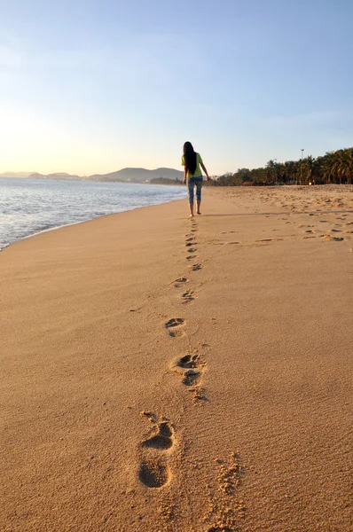 stock image Landscape on beach