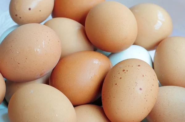 Skupina vajec — Stock fotografie