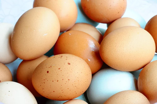 Grupo de huevos —  Fotos de Stock