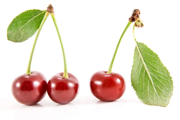 Three cherry fruits with leaves. — Stock Photo, Image