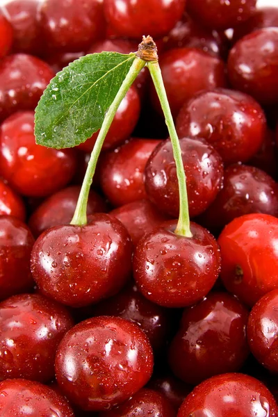 Cherry fruits with leaf on the heap of cherry. — Stock Photo, Image