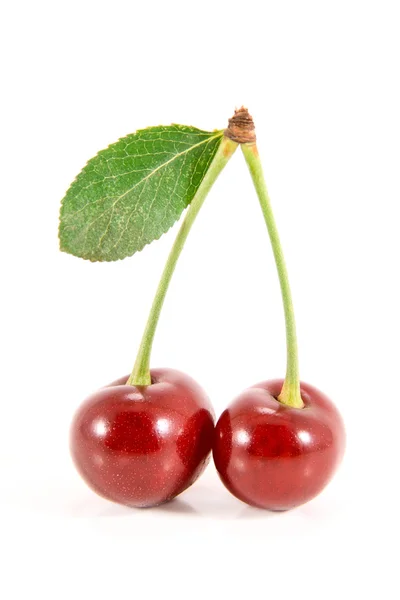 Två körsbär frukter med blad. Stockbild