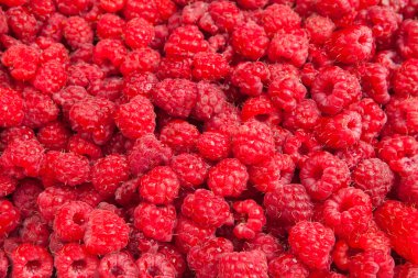 Rasberry background clipart