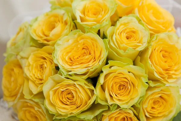 Rosas amarelas . — Fotografia de Stock
