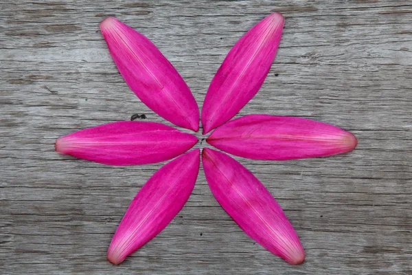 Pink Lotus Petals on Wooden Board Bakground — Stock Photo, Image