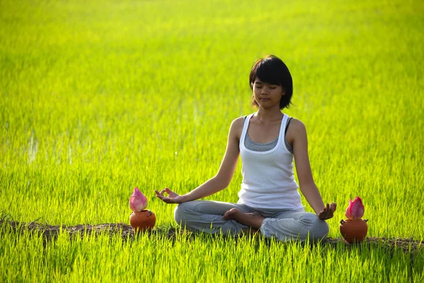 Mädchen praktiziert Yoga, sitzt mit Lotusblume im Reisfeld — Stockfoto
