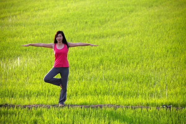 Pratik yoga, paddy alanda duran kız — Stok fotoğraf