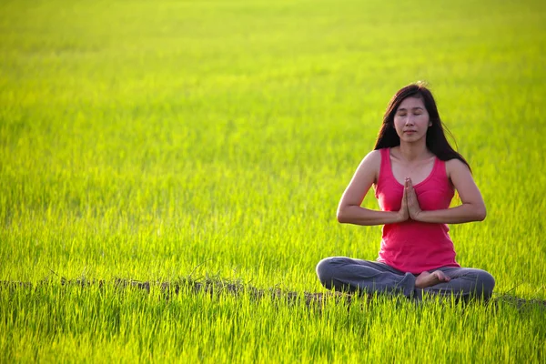 Девушка практикует йогу, сидит на рисовом поле — стоковое фото
