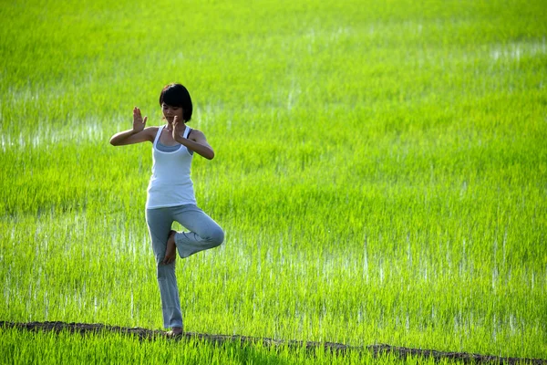 Chica practicando yoga, de pie en el arrozal —  Fotos de Stock