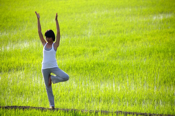 Mädchen praktiziert Yoga, steht im Reisfeld — Stockfoto
