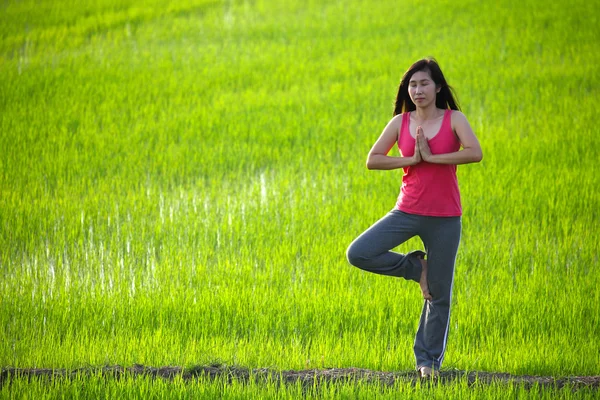 Девушка, занимающаяся йогой, стоящая на фоне рисового поля — стоковое фото