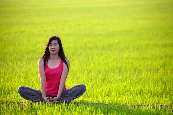 Menina praticando ioga, sentado com fundo de campo paddy — Fotografia de Stock