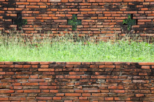 Old brick wall grown with grass — Stock Photo, Image