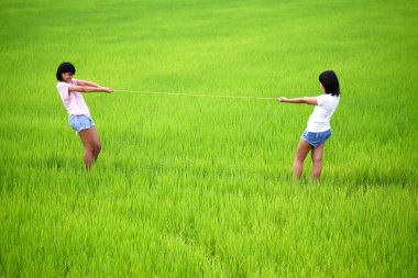 Tug of war between two young girls in paddy field clipart