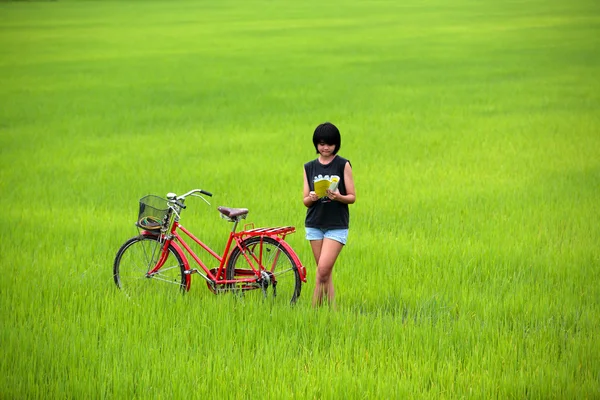 Piękna dziewczyna czytając książkę z rowerów w pola ryżowego — Zdjęcie stockowe