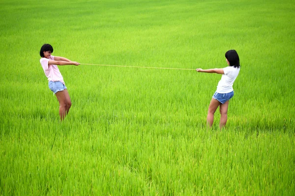Rebocador de guerra entre duas jovens no campo de paddy — Fotografia de Stock