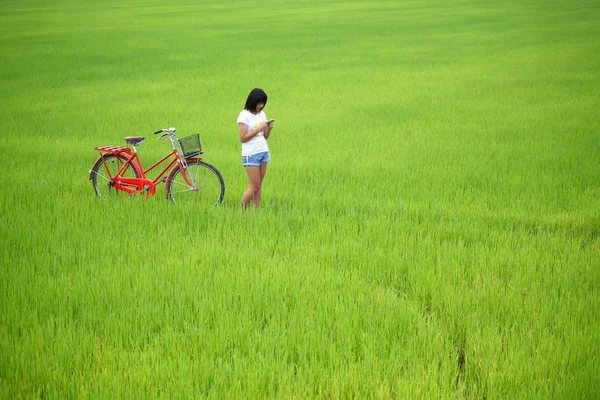 Beautiful girl plaing a phone with bike in paddy field — Stock Photo, Image