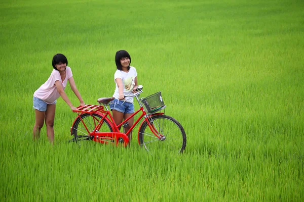 Dwie dziewczyny zabawy na rowerze w pola ryżowego — Zdjęcie stockowe