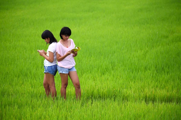 Две младшие сестры читают книгу на рисовом поле — стоковое фото