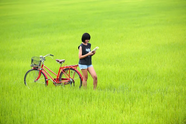 Girl reading a book with bike in paddy field