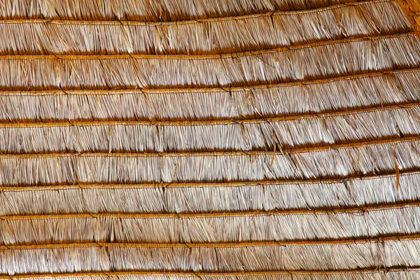 Textuur van hooi stapel dak in thailand — Stockfoto