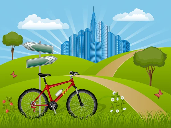 Летний пейзаж с велосипедом — стоковый вектор