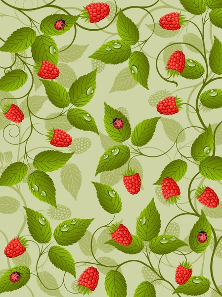 Floral background with raspberry — Stock Vector