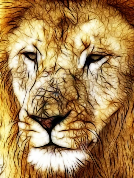 Close-up picture illustration of Large Lion face — Stock Photo, Image