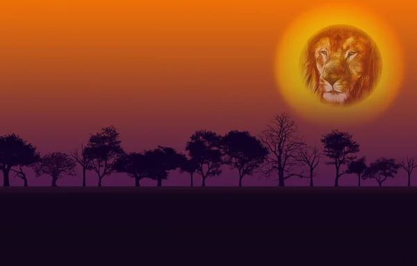 アフリカ自然日没 — ストック写真
