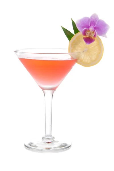Red alcohol cosmopolitan cocktail decorated with citrus and orch — Stock Photo, Image