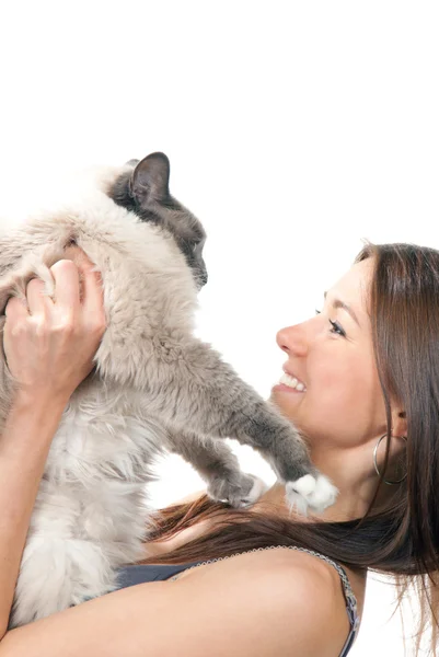 Jovem mulher bonita segurar seu lindo gato Ragdoll com olho azul — Fotografia de Stock