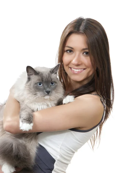 Femme tenir son beau chat Ragdoll avec les yeux bleus — Photo