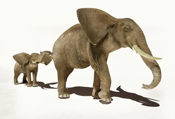 Elefanti. — Foto Stock