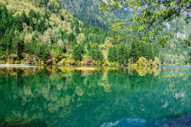 Çin jiuzhaigou orman ve göl manzara