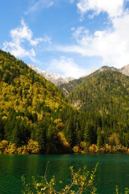 Forest and lake landscape of China jiuzhaigou clipart