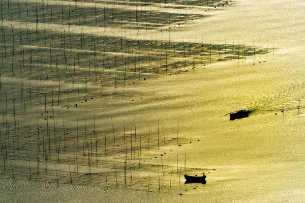 Pertanian rumput laut — Stok Foto