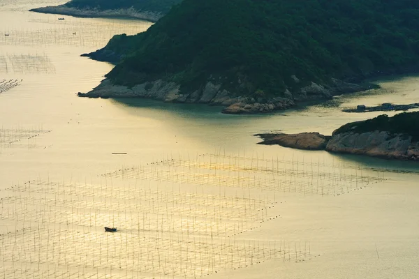 Ocean seaweed farm in China — Stock Photo, Image