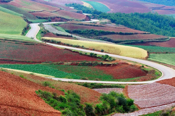 China rural field landscape — Stock Photo, Image