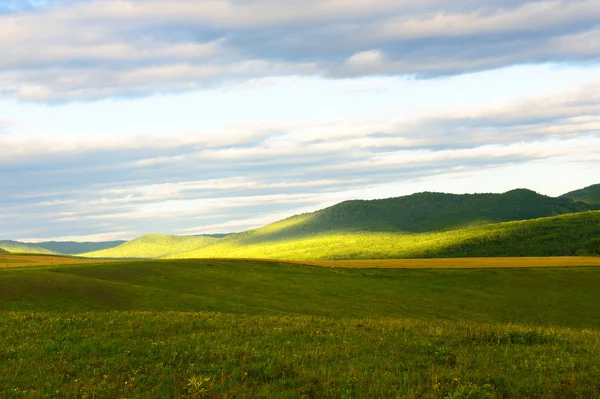 Grünlandlandschaft — Stockfoto