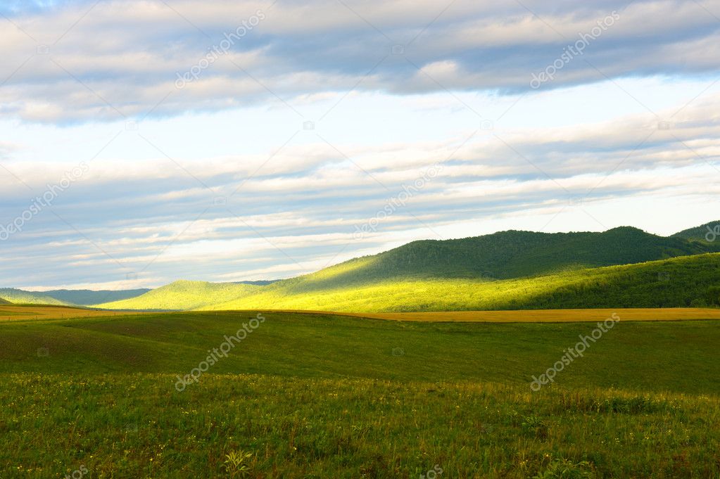 Grassland landscape