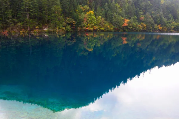 Bosque y lago paisaje de China jiuzhaigou —  Fotos de Stock
