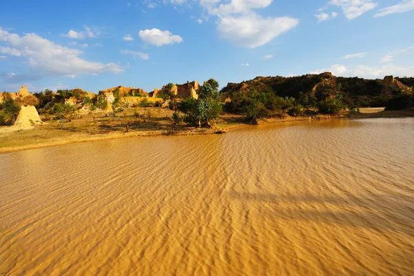 stock image Muddy lake