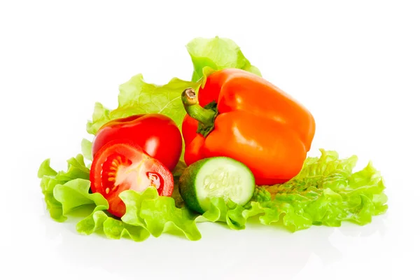 トマトとキュウリ サラダのミックス — ストック写真