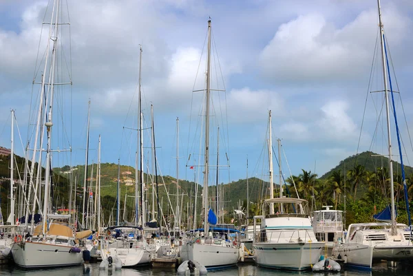 stock image Sailboats in the caribbean