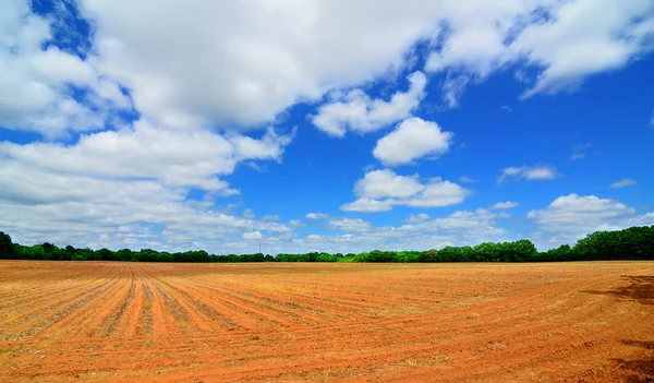Topraklanmış arazi — Stok fotoğraf
